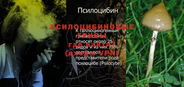 эйфоретик Гусь-Хрустальный