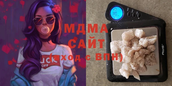 эйфоретик Гусь-Хрустальный