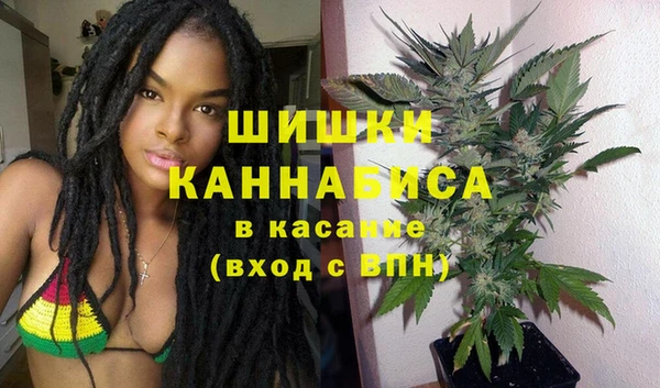 эйфоретик Гусь-Хрустальный